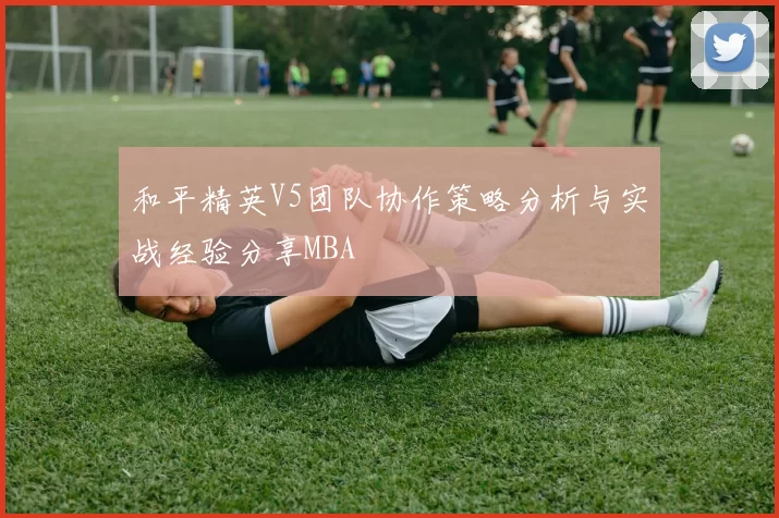 和平精英V5团队协作策略分析与实战经验分享MBA