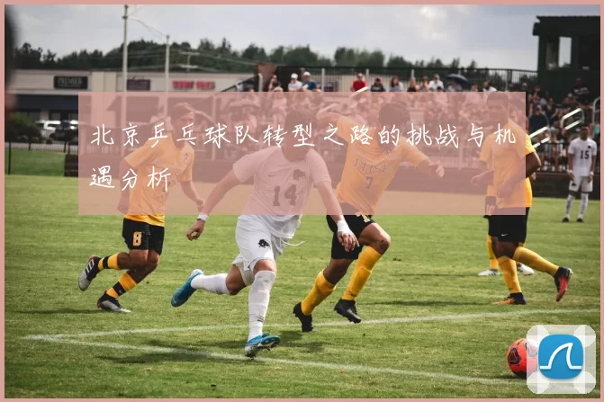 北京乒乓球队转型之路的挑战与机遇分析