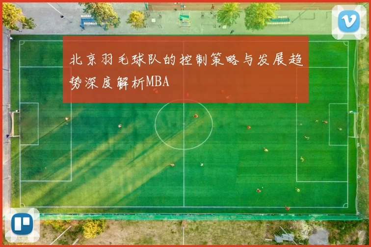 北京羽毛球队的控制策略与发展趋势深度解析MBA