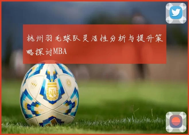杭州羽毛球队灵活性分析与提升策略探讨MBA